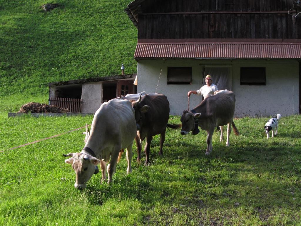 Ferienstudio In Unterschaechen Oda fotoğraf